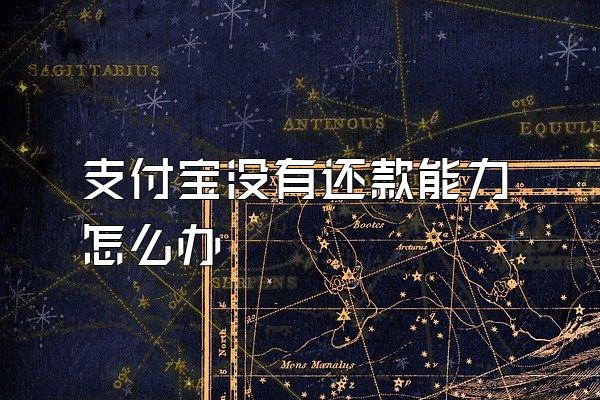 支付宝没有还款能力怎么办