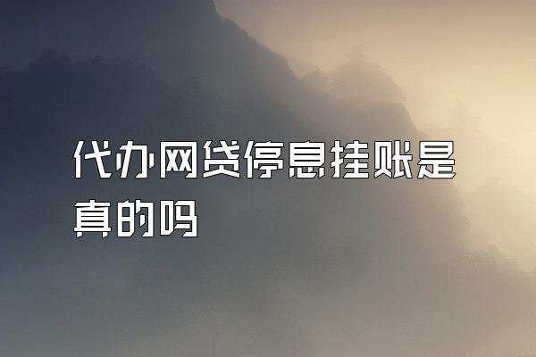 代办网贷停息挂账是真的吗