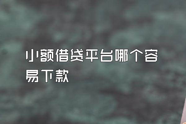 小额借贷平台哪个容易下款