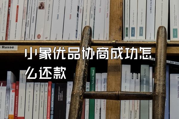 小象优品协商成功怎么还款