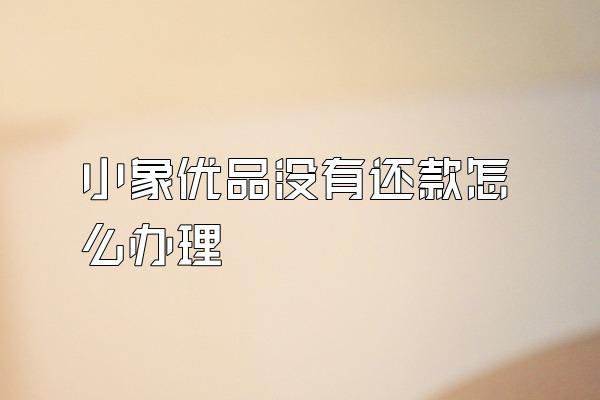 小象优品没有还款怎么办理