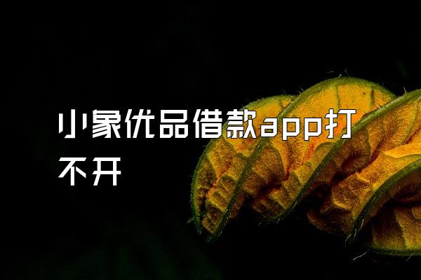 小象优品借款app打不开