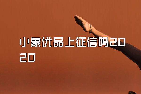 小象优品上征信吗2020