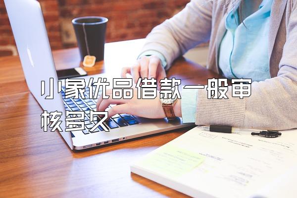 小象优品借款一般审核多久