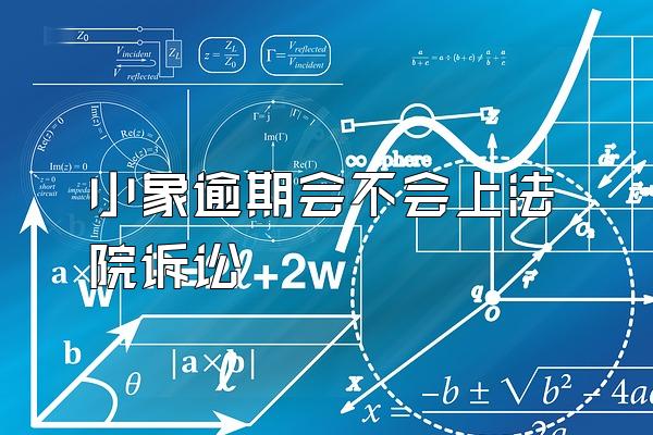 小象逾期会不会上法院诉讼