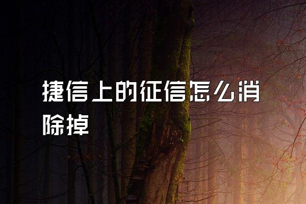 捷信上的征信怎么消除掉