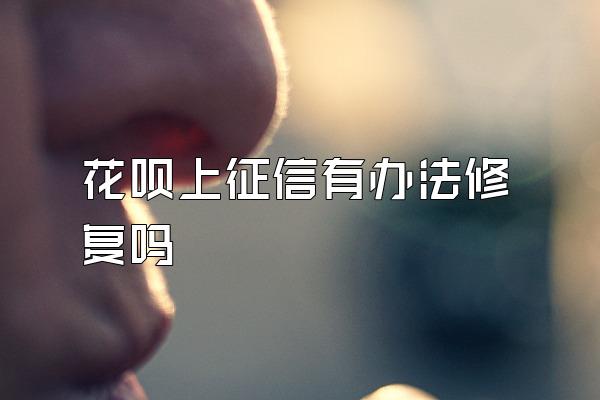 花呗上征信有办法修复吗