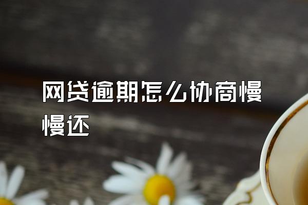 网贷逾期怎么协商慢慢还