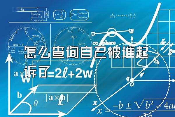 怎么查询自己被谁起诉了