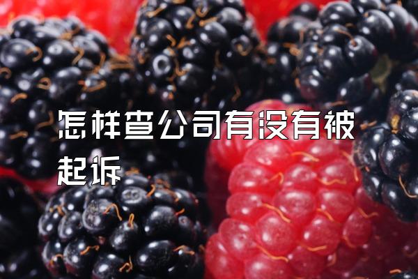 怎样查公司有没有被起诉