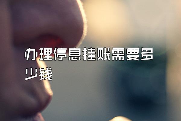 办理停息挂账需要多少钱