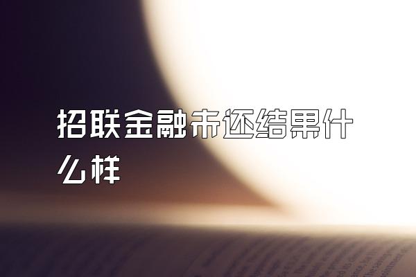 招联金融未还结果什么样