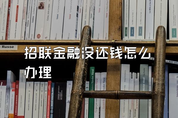 招联金融没还钱怎么办理