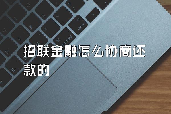 招联金融怎么协商还款的