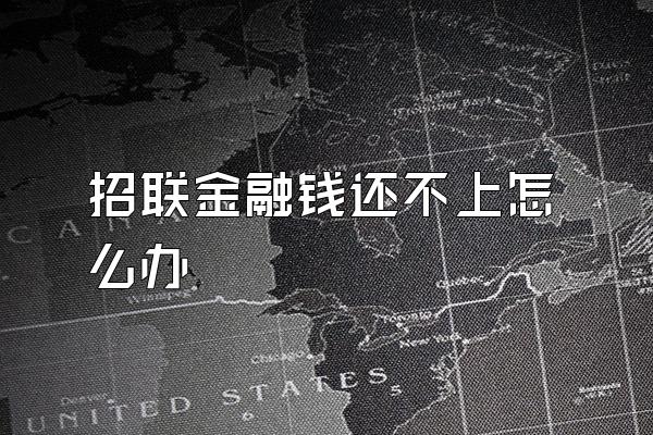 招联金融钱还不上怎么办