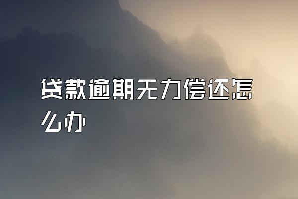 贷款逾期无力偿还怎么办