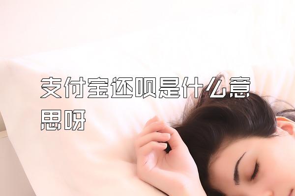 支付宝还呗是什么意思呀