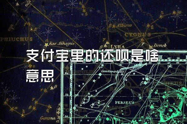 支付宝里的还呗是啥意思