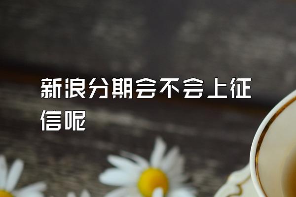 新浪分期会不会上征信呢