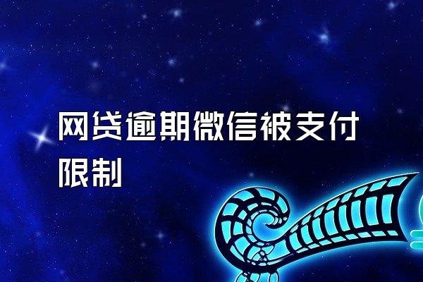 网贷逾期微信被支付限制