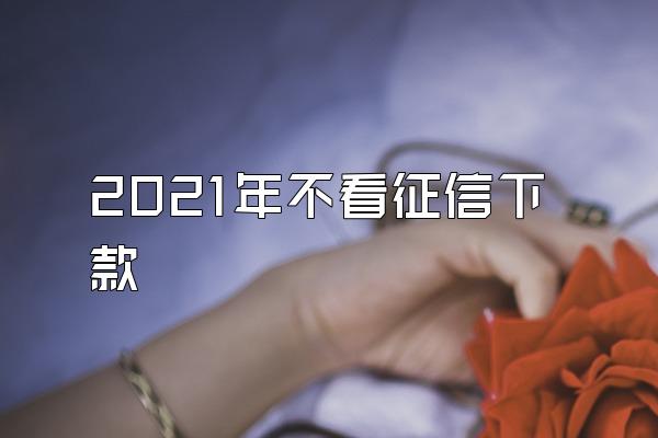 2021年不看征信下款