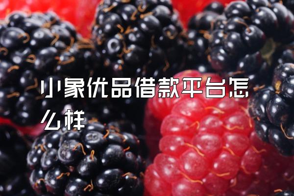 小象优品借款平台怎么样