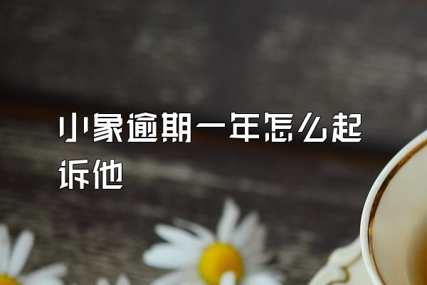 小象逾期一年怎么起诉他