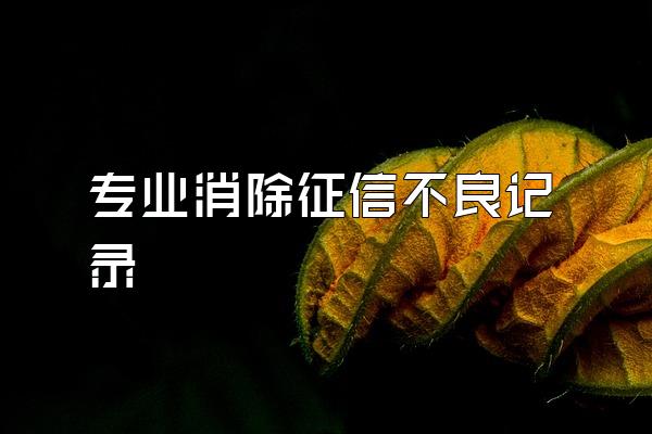 专业消除征信不良记录