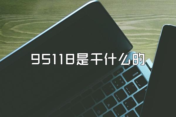 95118是干什么的