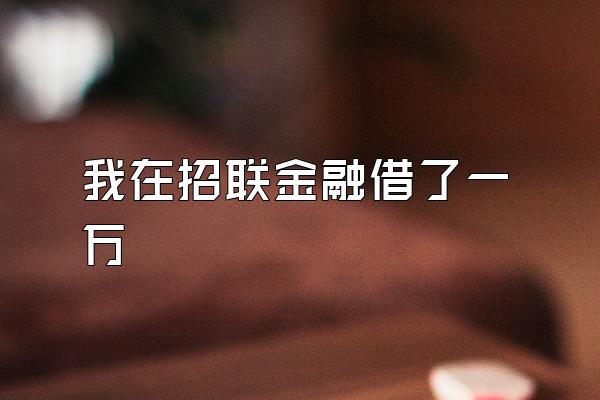 我在招联金融借了一万