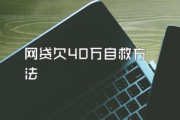 网贷欠40万自救方法