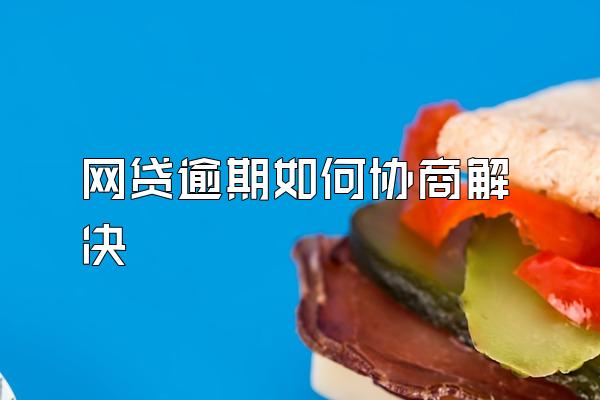 网贷逾期如何协商解决