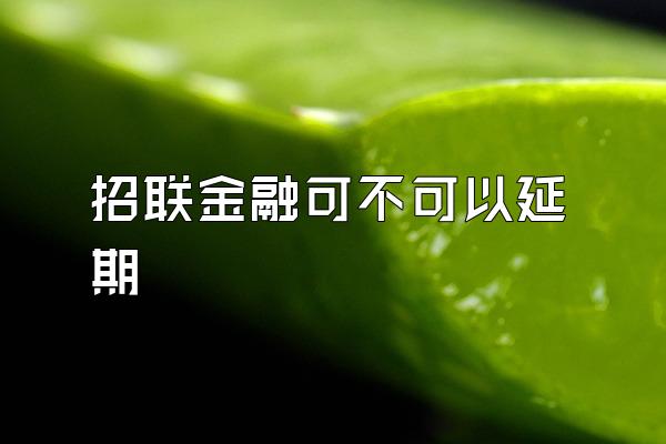 招联金融可不可以延期