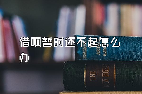 借呗暂时还不起怎么办