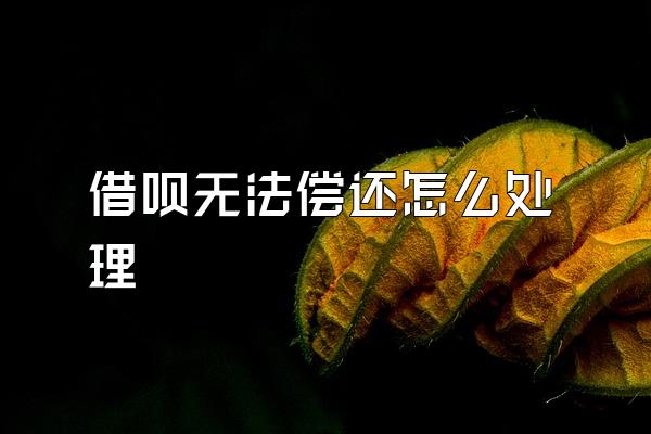 借呗无法偿还怎么处理