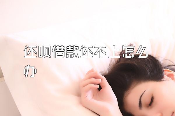 还呗借款还不上怎么办