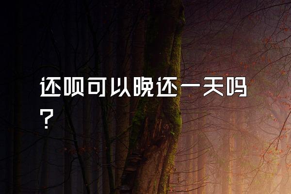 还呗可以晚还一天吗?