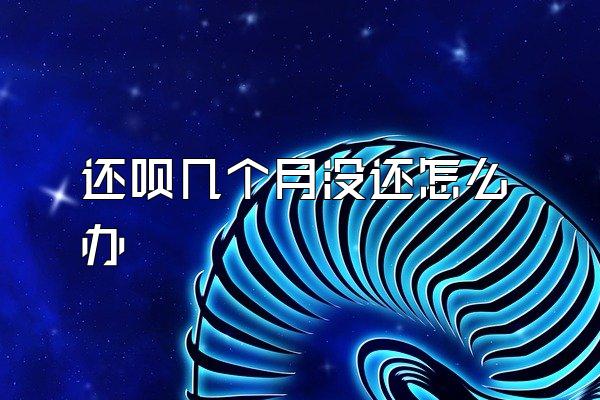 还呗几个月没还怎么办