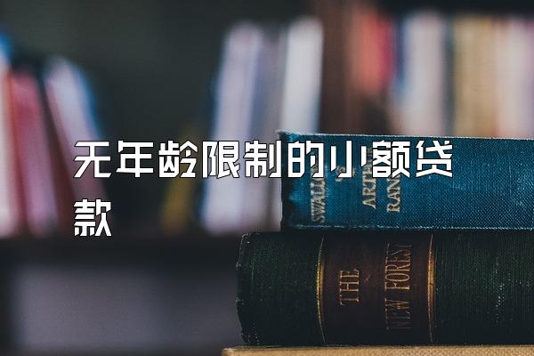 无年龄限制的小额贷款