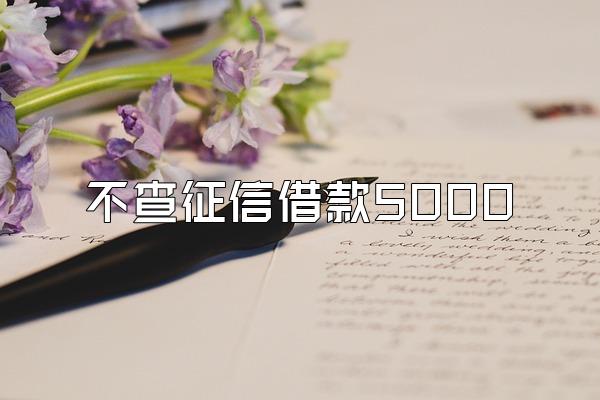 不查征信借款5000