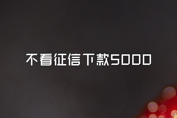 不看征信下款5000