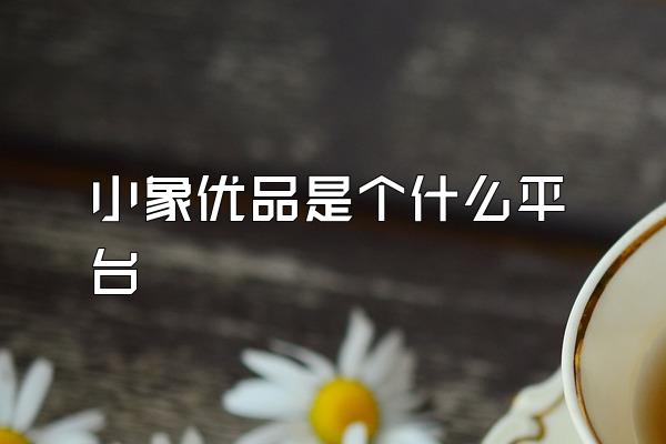 小象优品是个什么平台