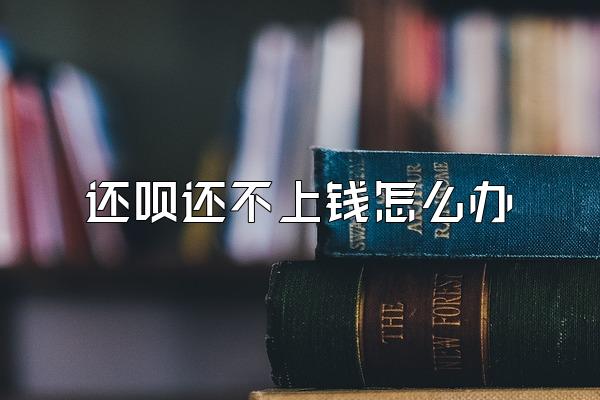 还呗还不上钱怎么办