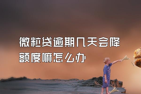 微粒贷逾期几天会降额度嘛怎么办