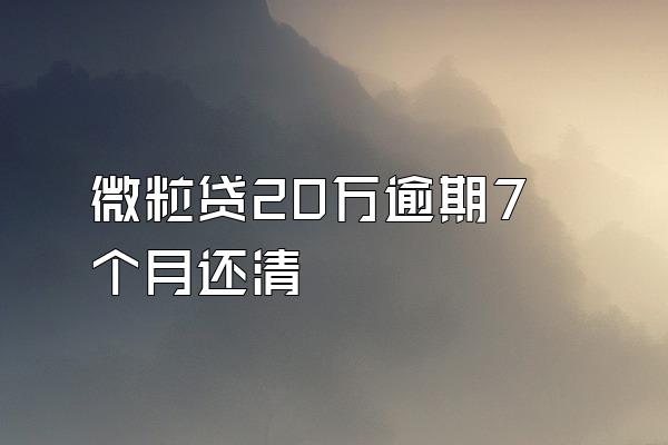 微粒贷20万逾期7个月还清