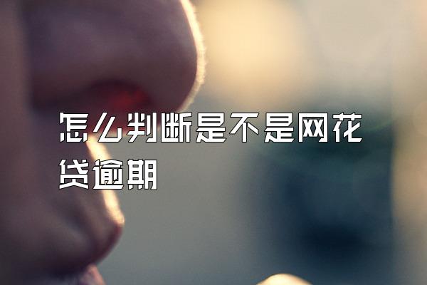 怎么判断是不是网花贷逾期