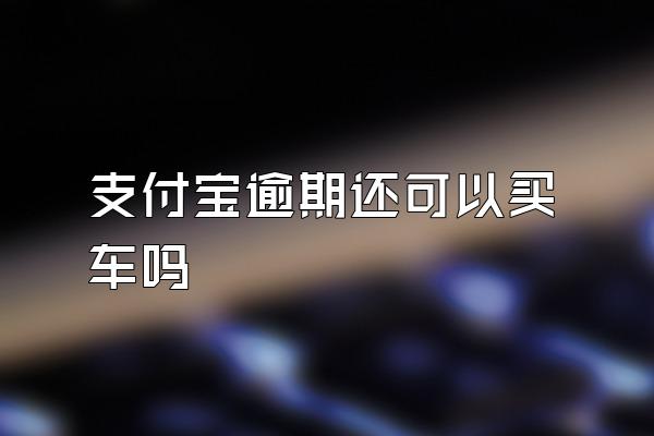 支付宝逾期还可以买车吗