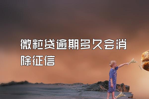 微粒贷逾期多久会消除征信