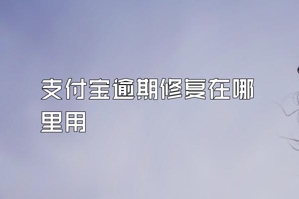 支付宝逾期修复在哪里用