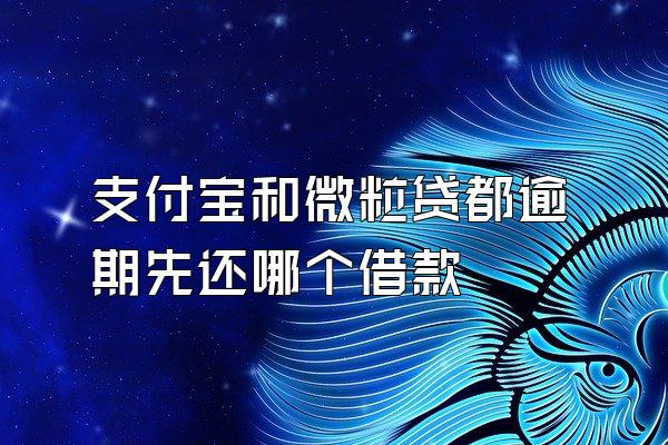 支付宝和微粒贷都逾期先还哪个借款